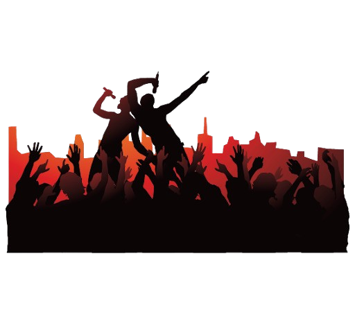 Private Concert Experience